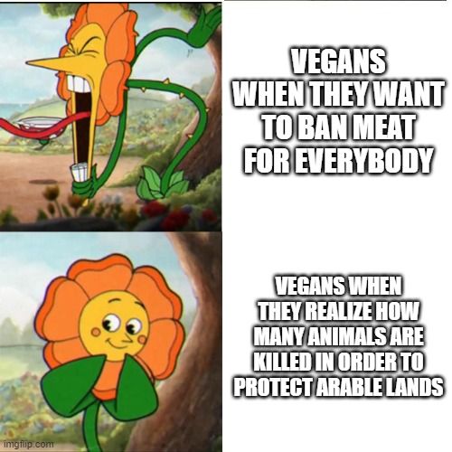 I don't mind vegans who don't mind my diet. But to those who do, just so you know, your food isn't really that vegan too