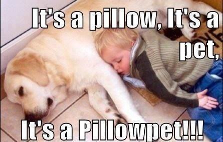 I want that Pillowpet!!