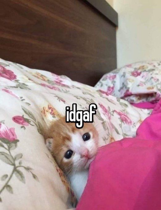ㅤ