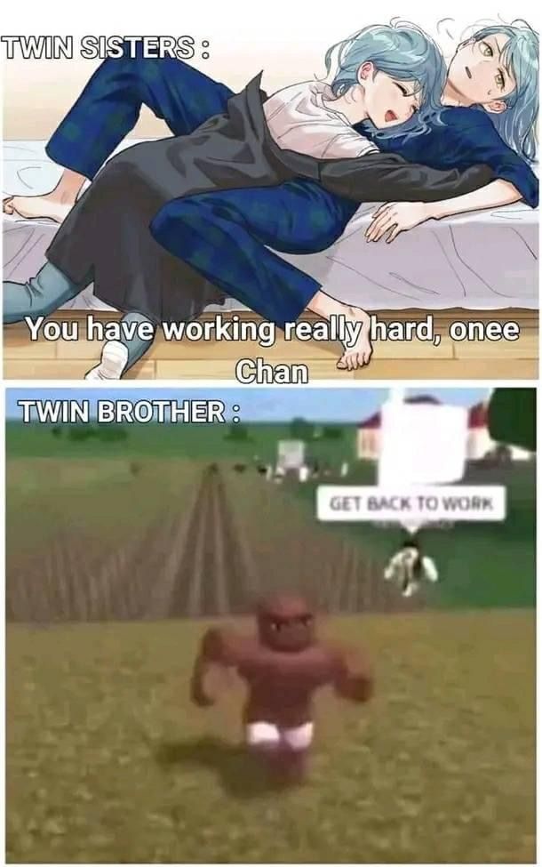 Just the twin things