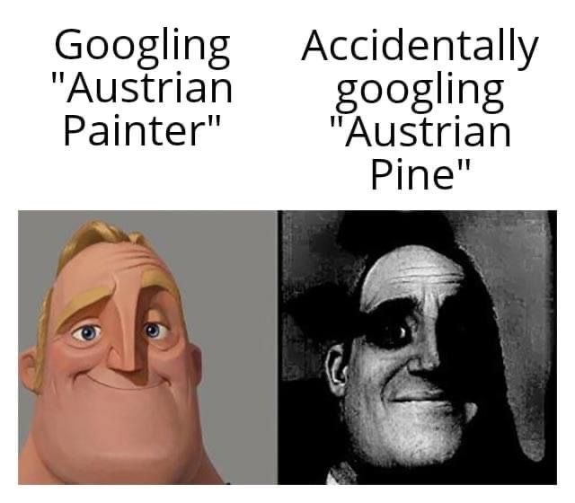 Oh nooo