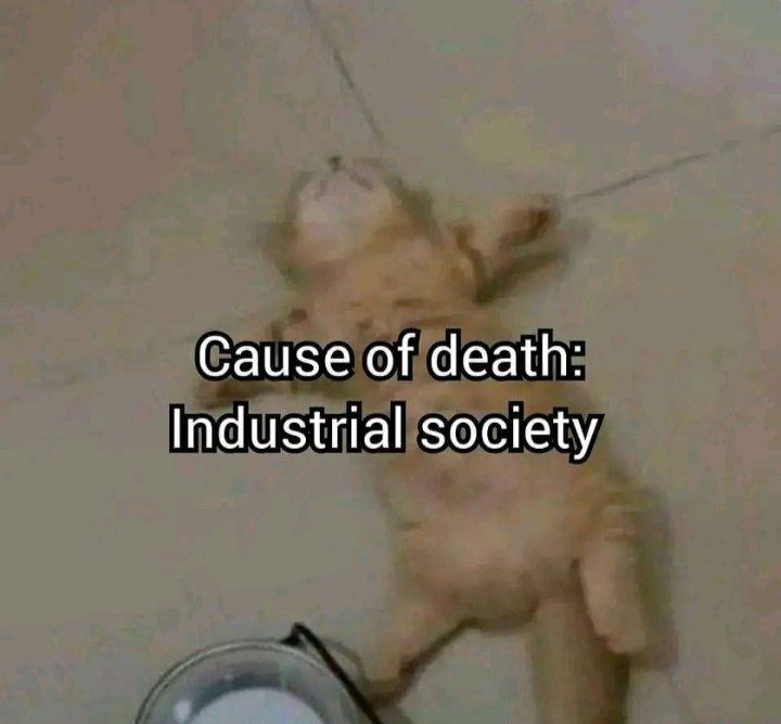 RIP