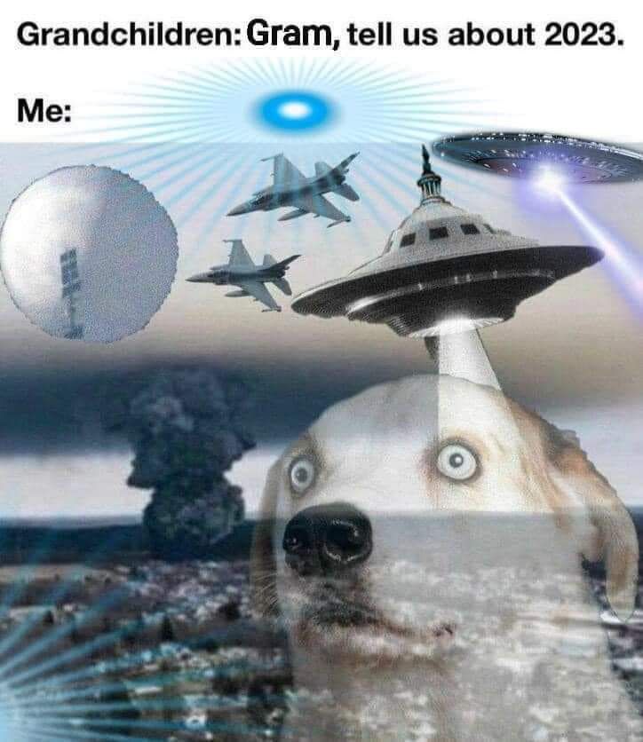 It's wild