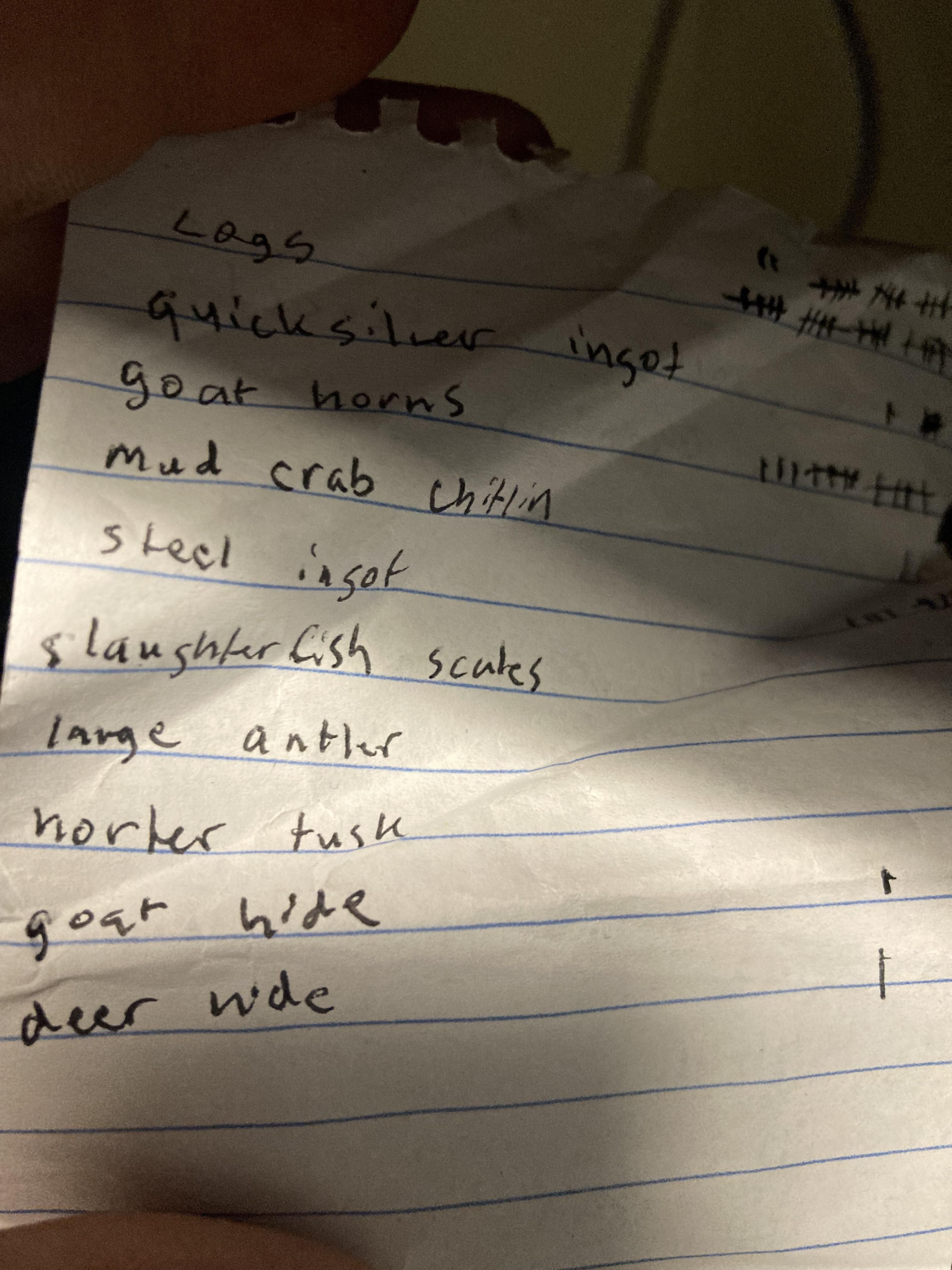 I tore out the wrong shopping list