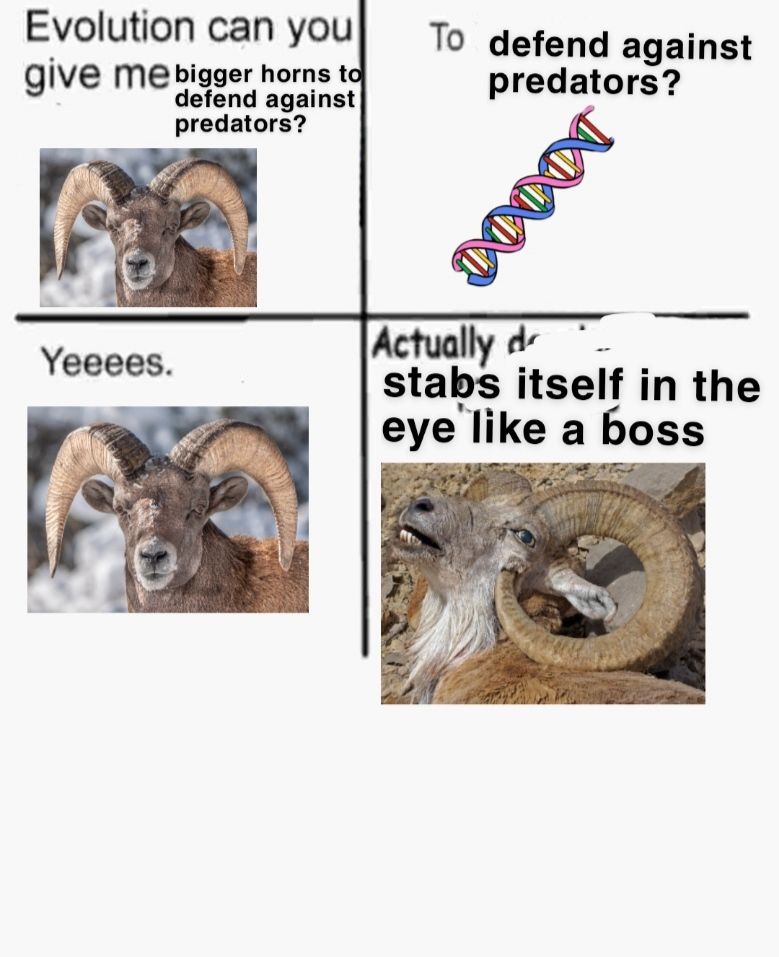 Intelligent design