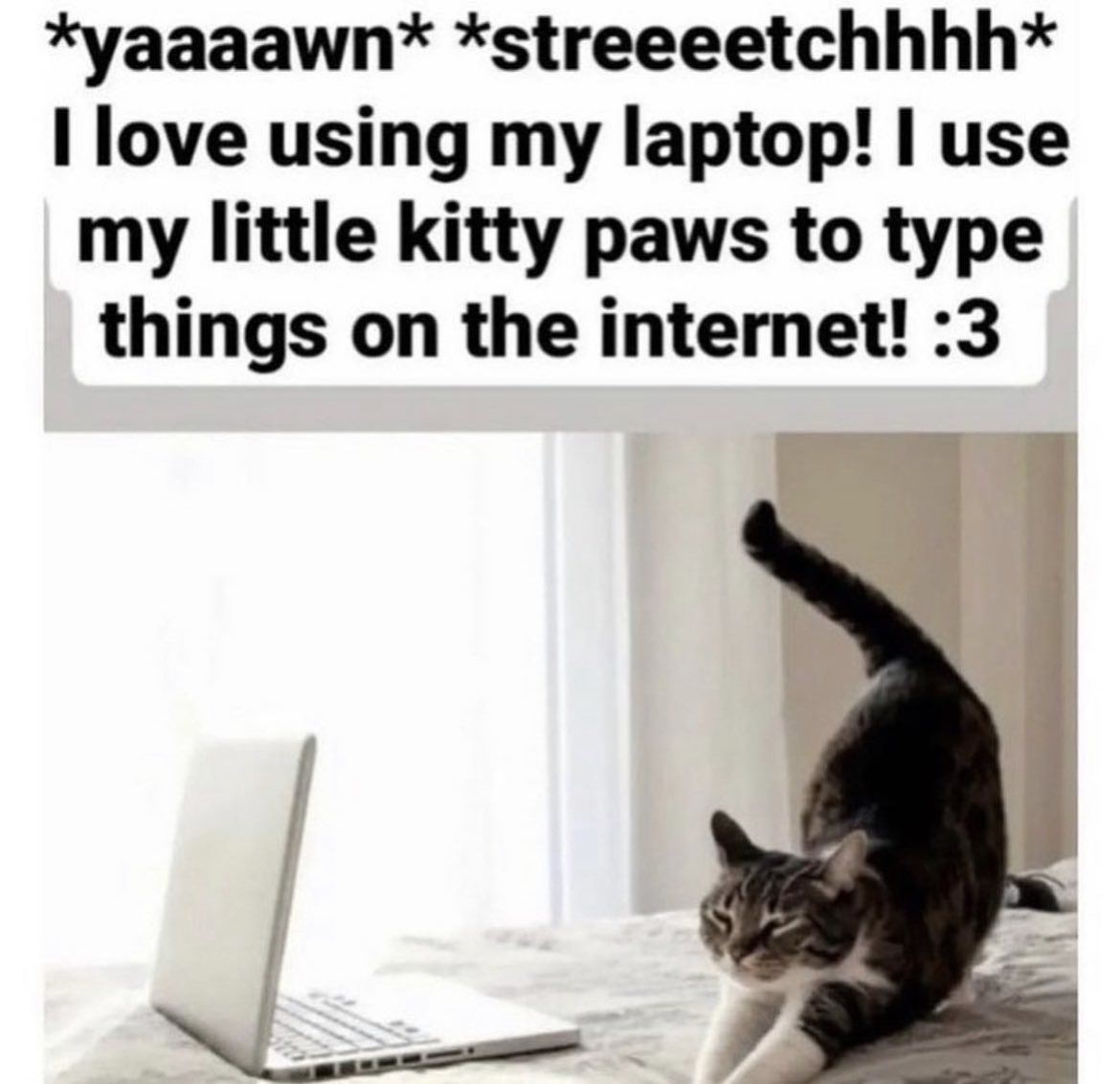 :3 