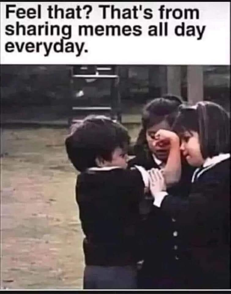 Sorry normies but in real life the shitposter gets the women