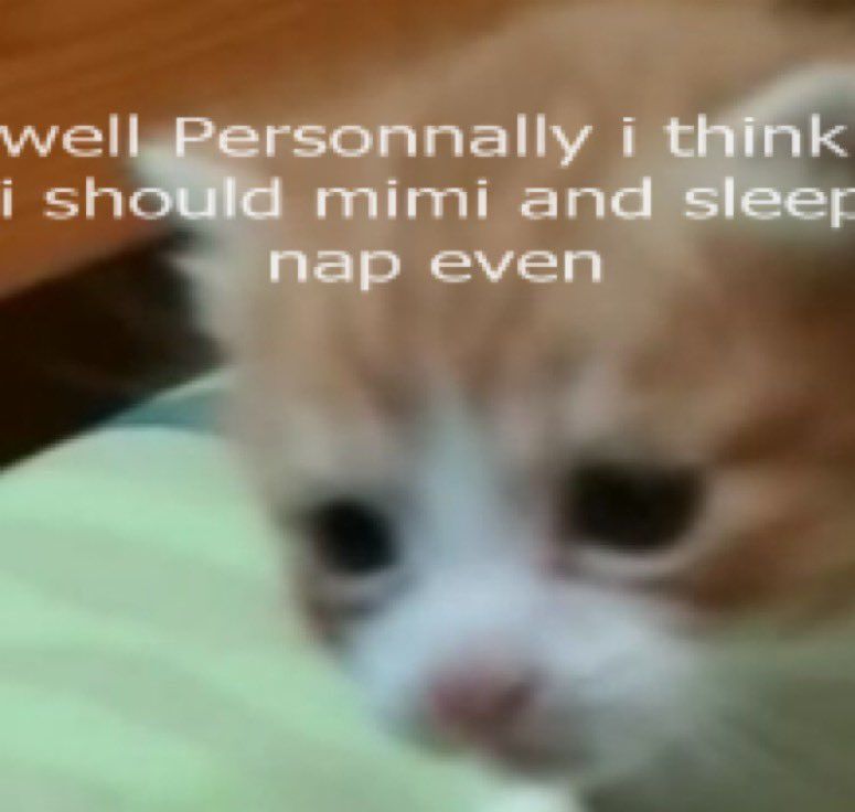 gn 