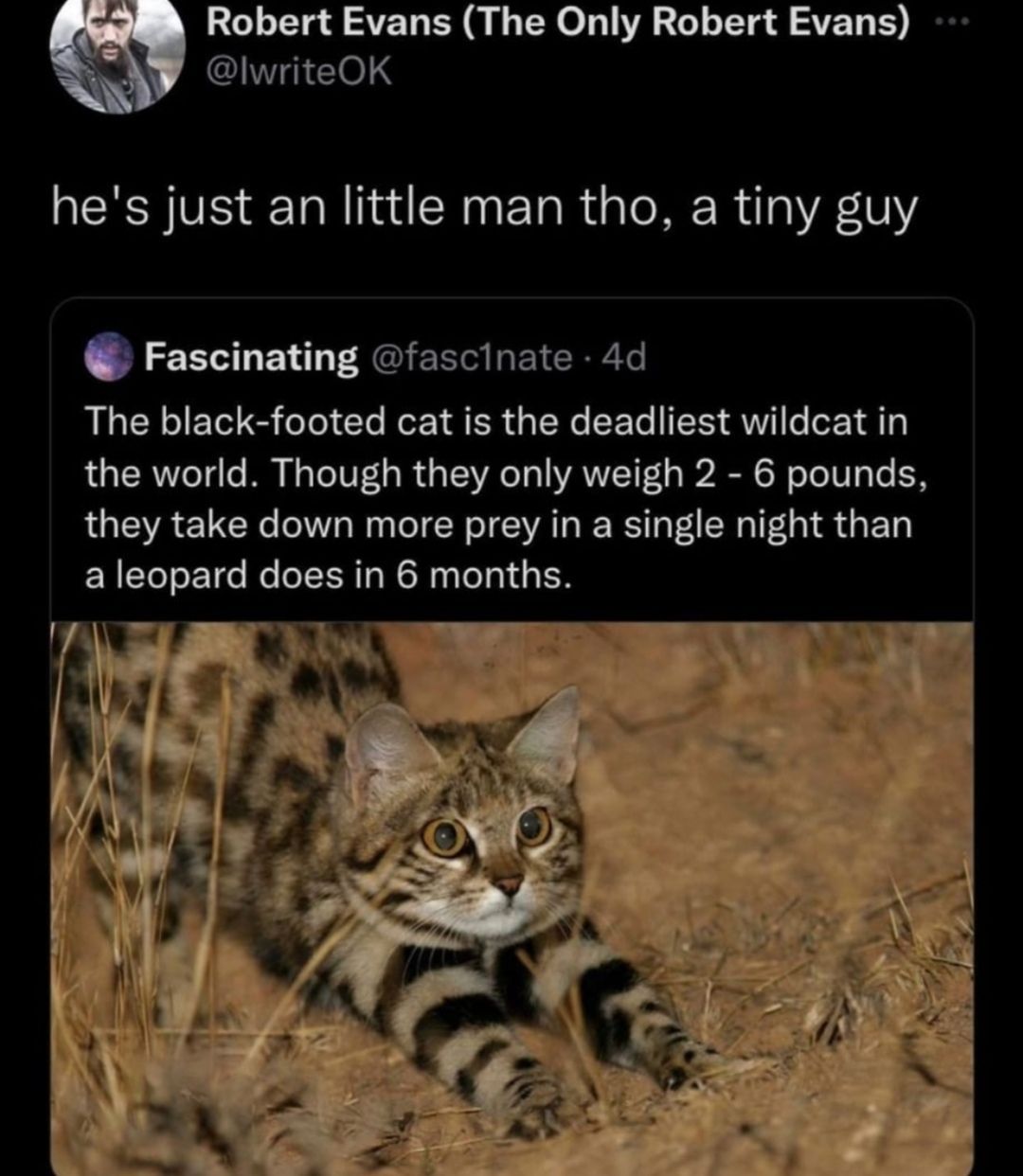 ***