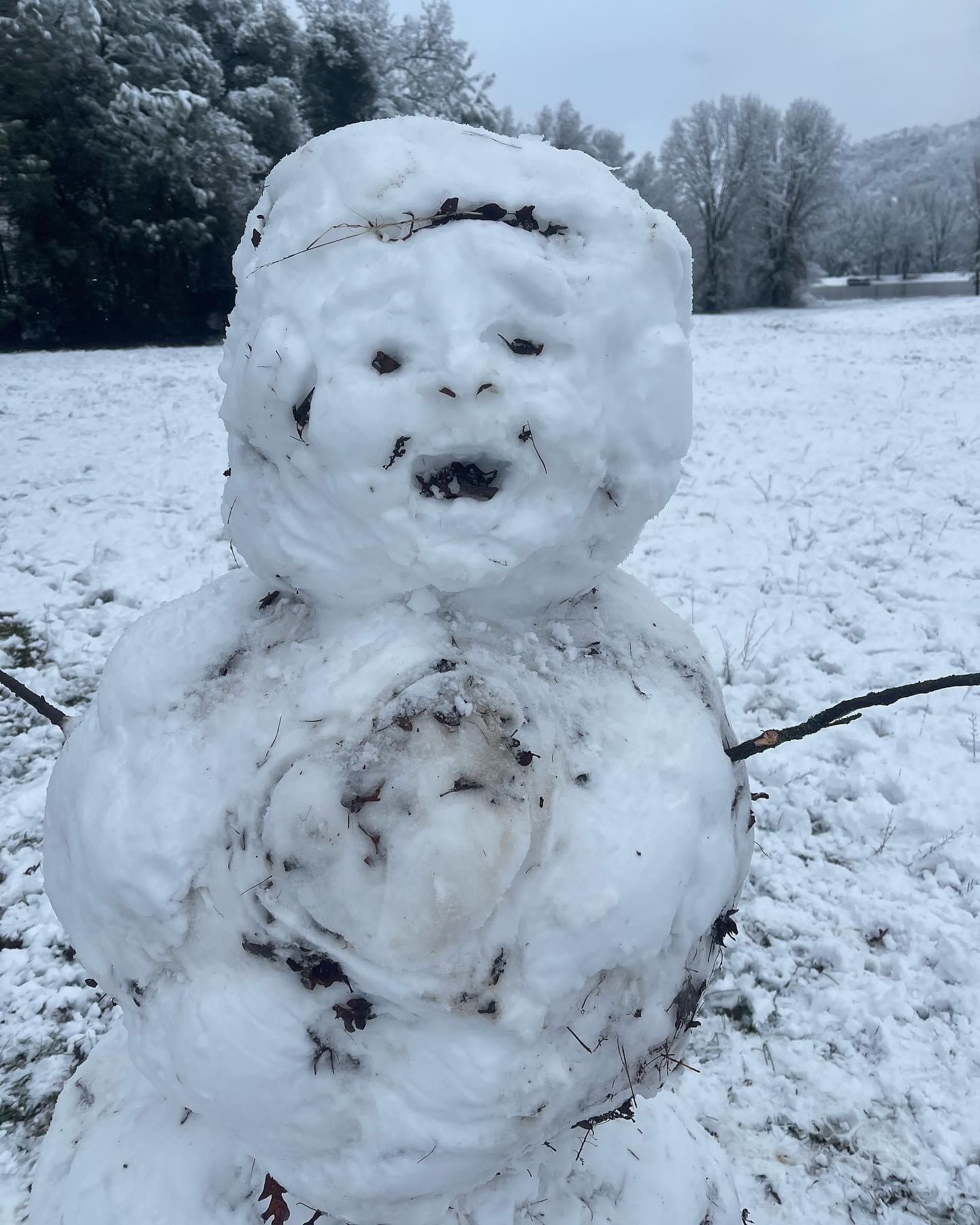 Rare snowfall in California. Friend set out to make a “realistic” snowman…