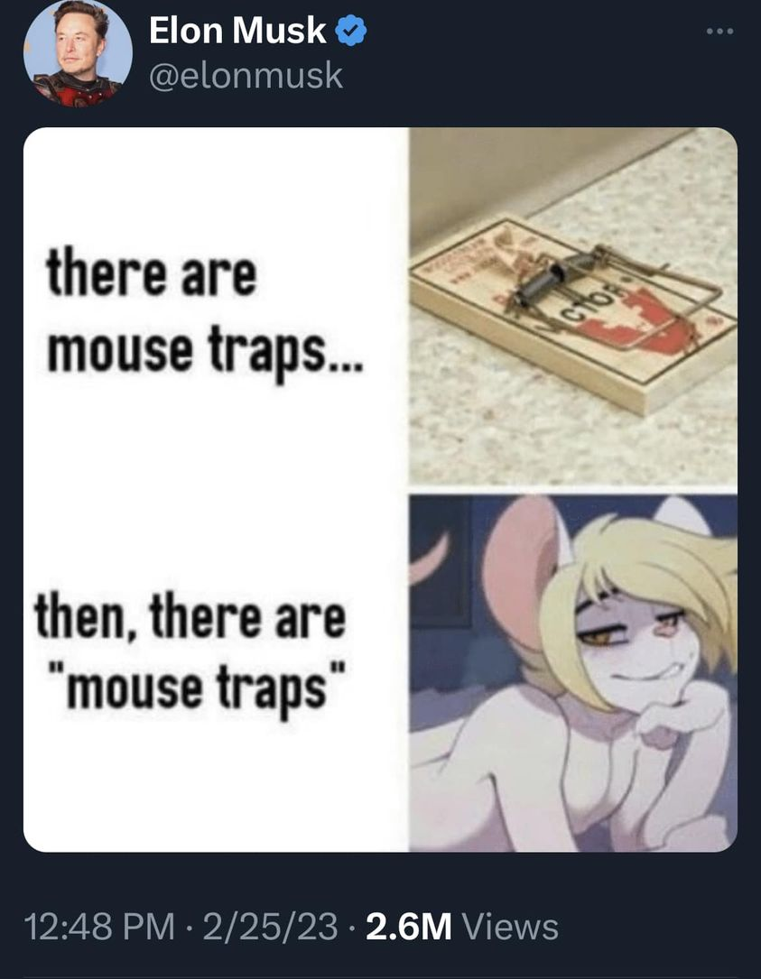 I dont think he is making cat girls.