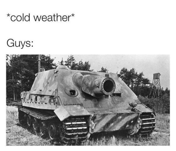 Imagine making an offensive bunker busting assault gun when losing the war...