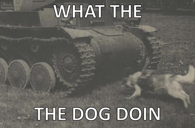 This one is for our boy, Serviceman!