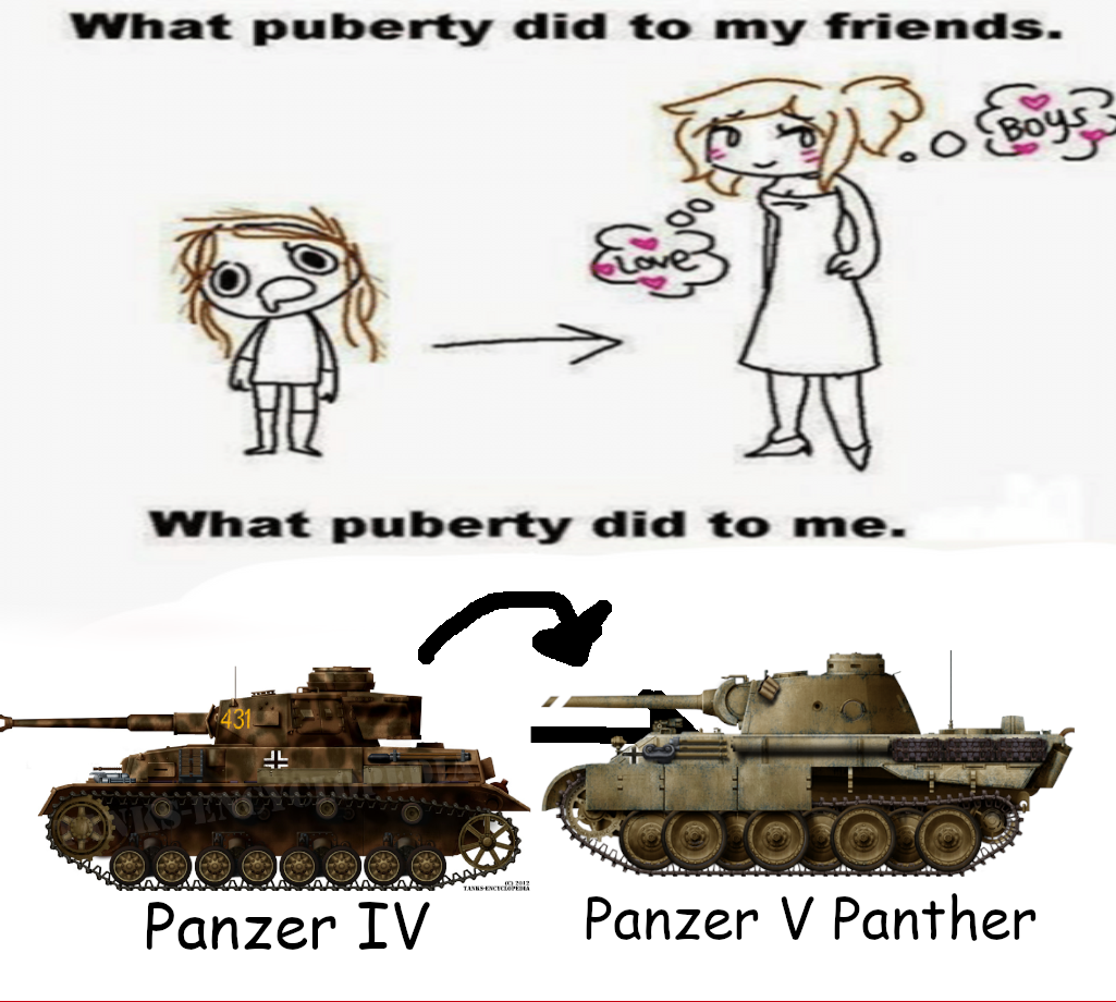 Snub nose Panther