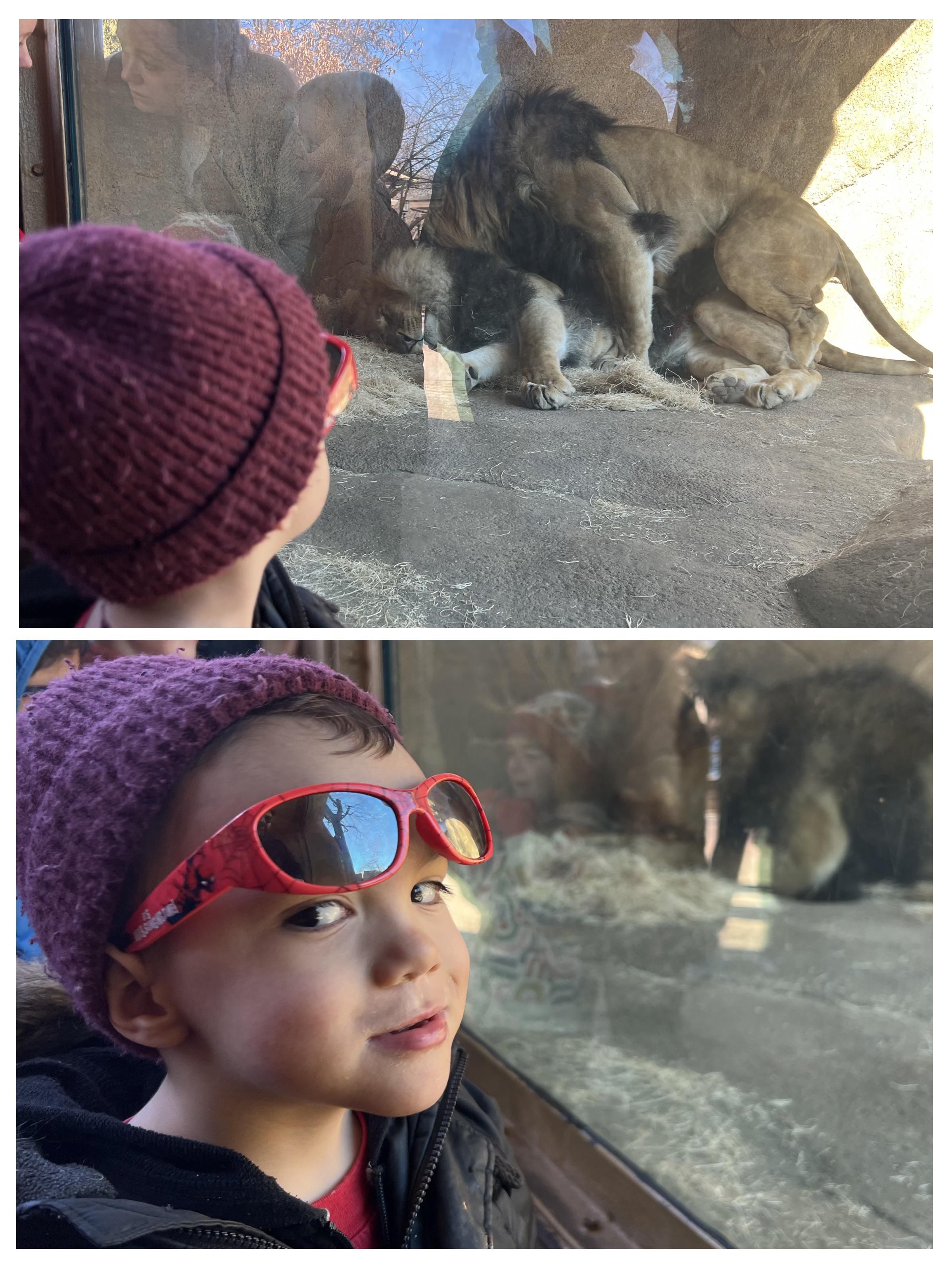 My kid had an educational day at the zoo.