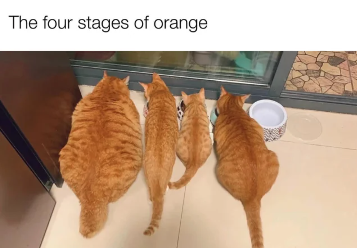 Duder on the left