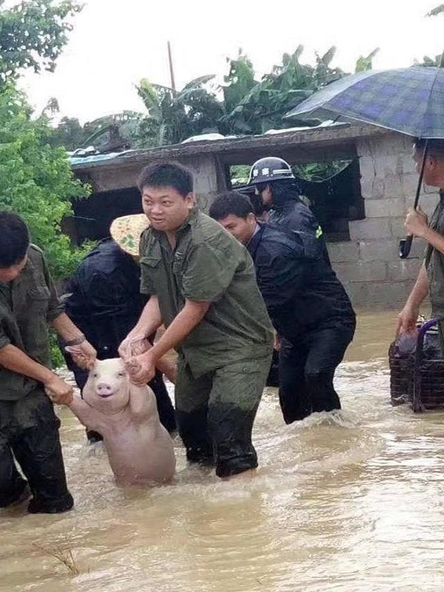 Amy Schumer being escorted out of a flooded night club.