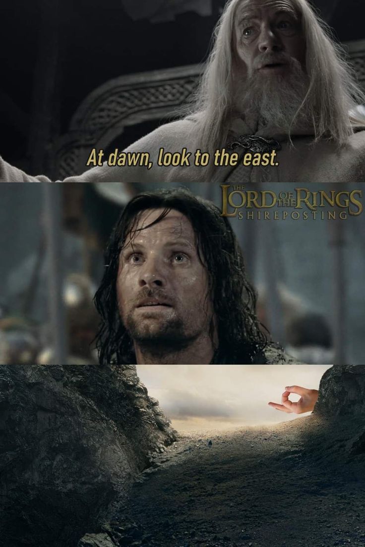 Mr.East
