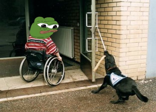 WHAT DA DOG DOIN?