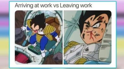 posting memes is hard work after all