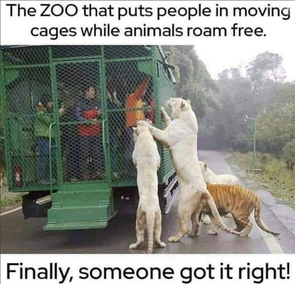 The Human Zoo.