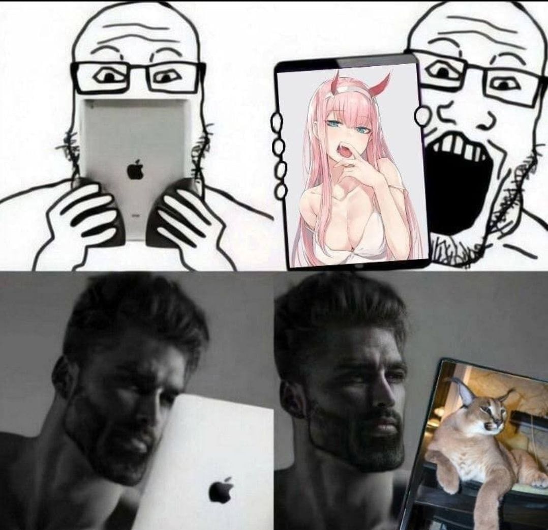 ***
