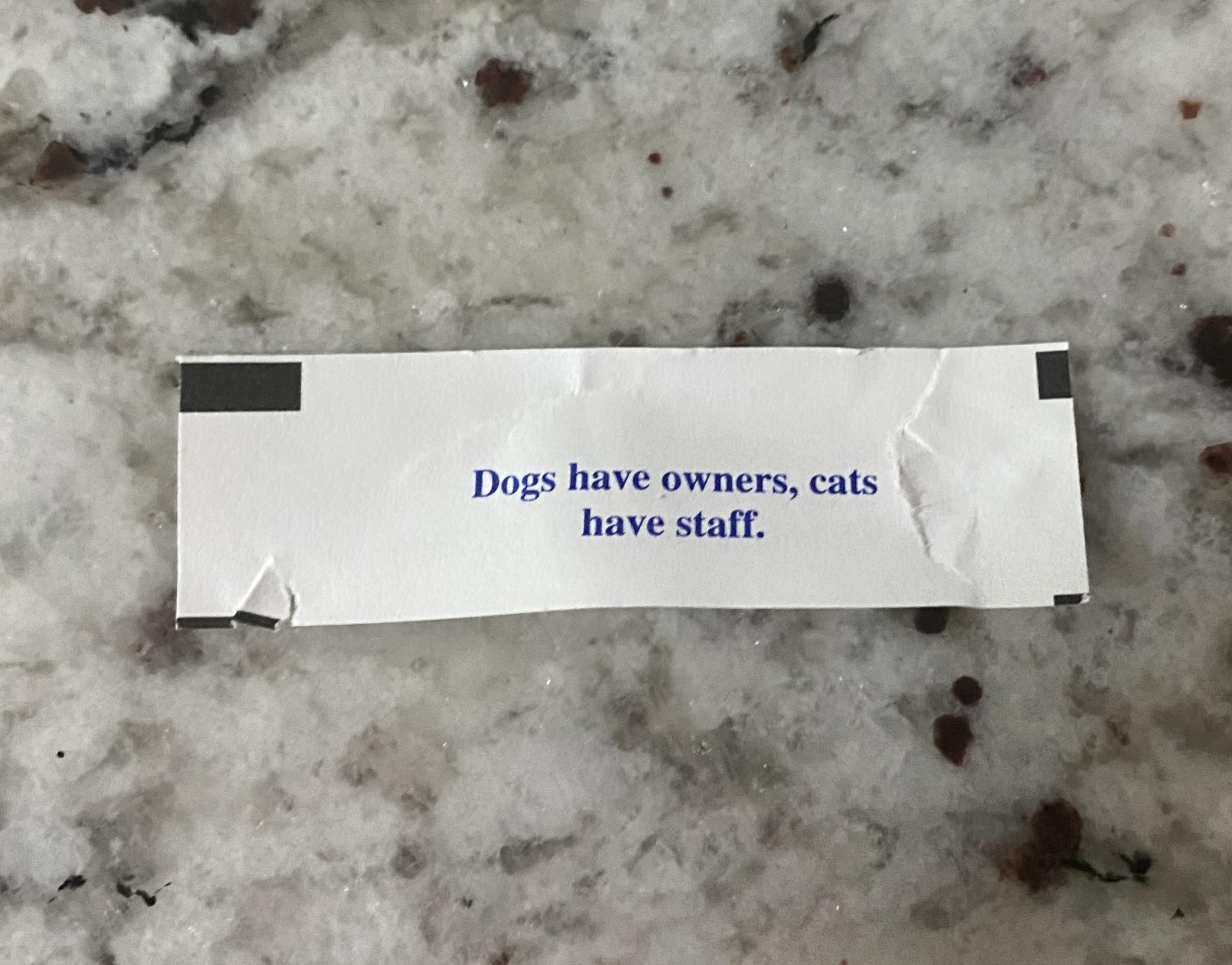 My wife’s fortune cookie fortune