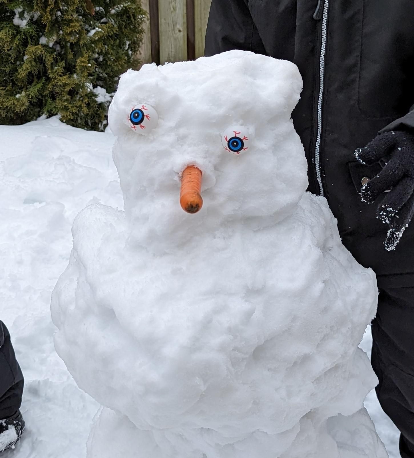 So my kids made a snowman and found Halloween eyes...