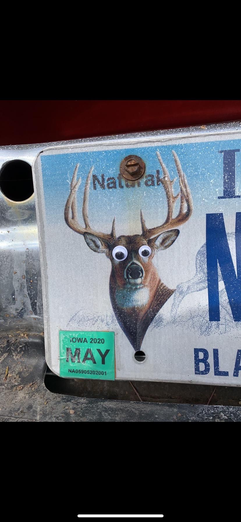 Googly eyes I put on my brothers license plate.