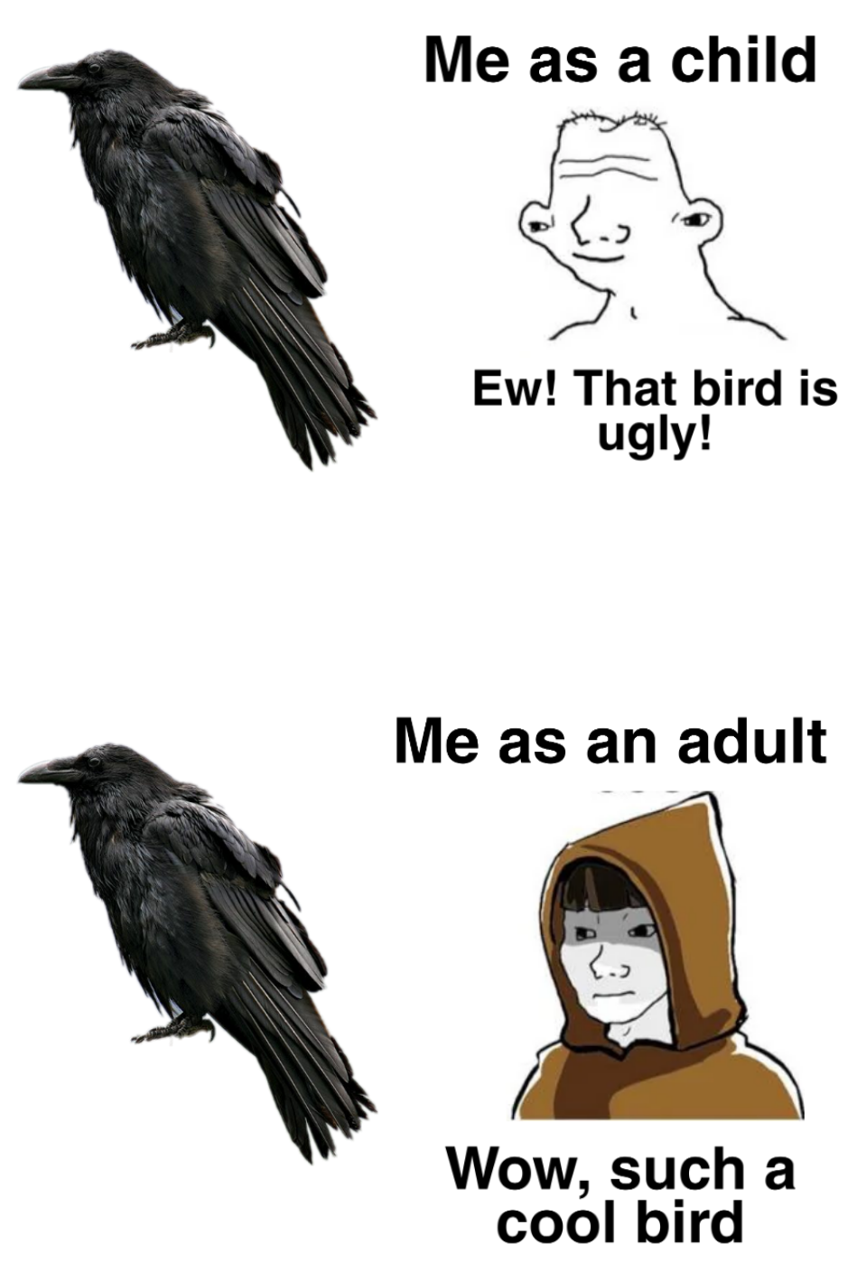 Let's be honest, ravens were always cool