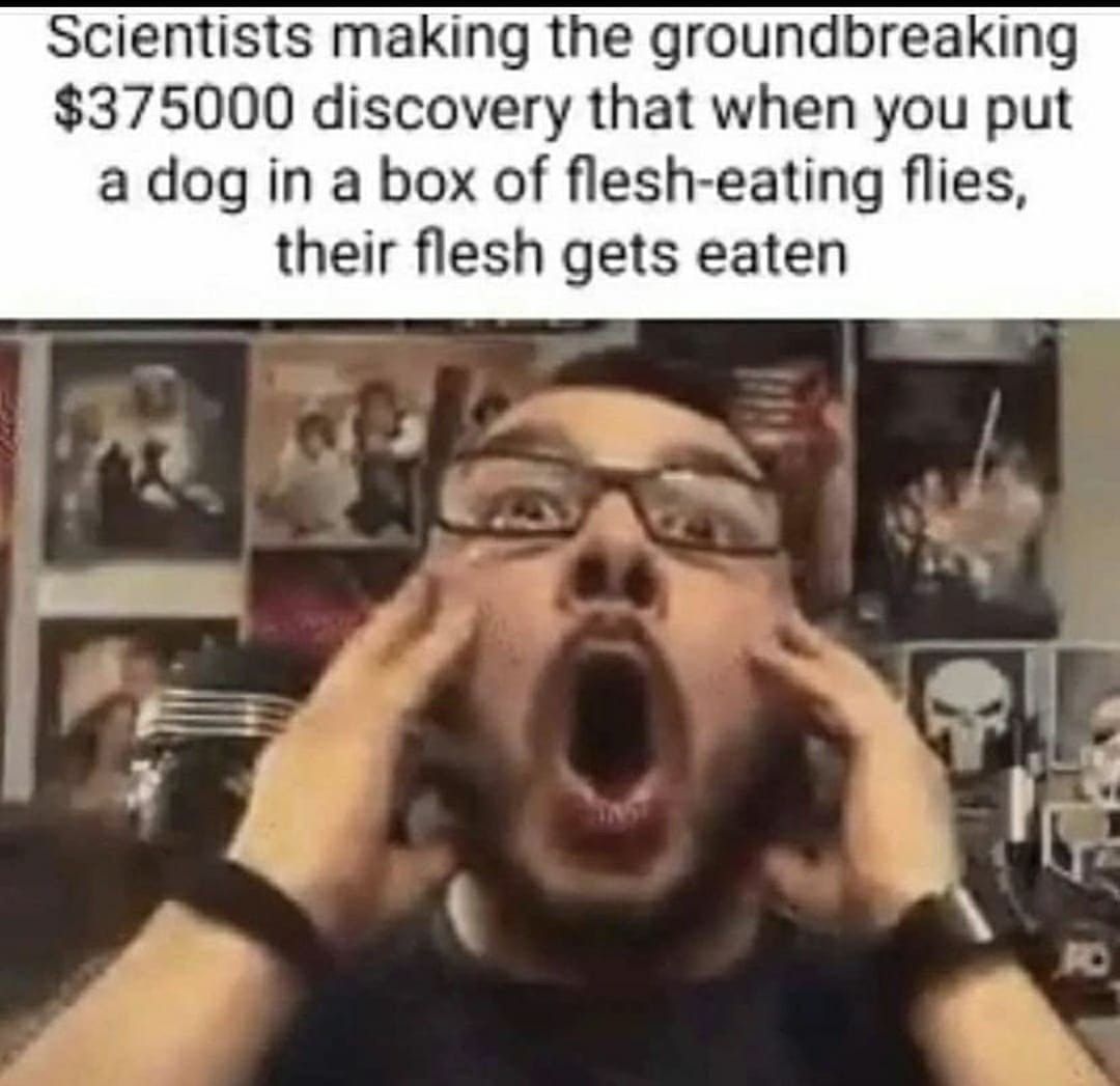 weak flesh