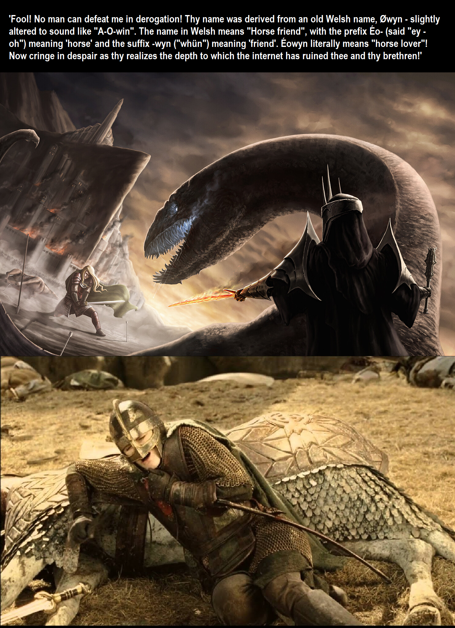 “Begone, foul dwimmerlaik, lord of carrion!" She said prior.