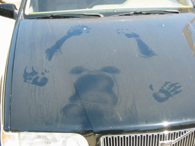 Who laid on my Volvo?