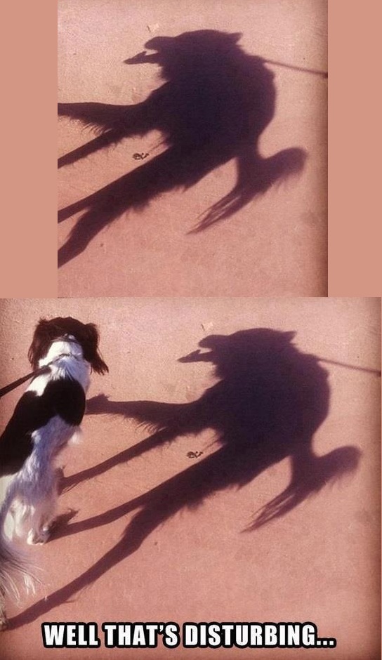 It got me at first.