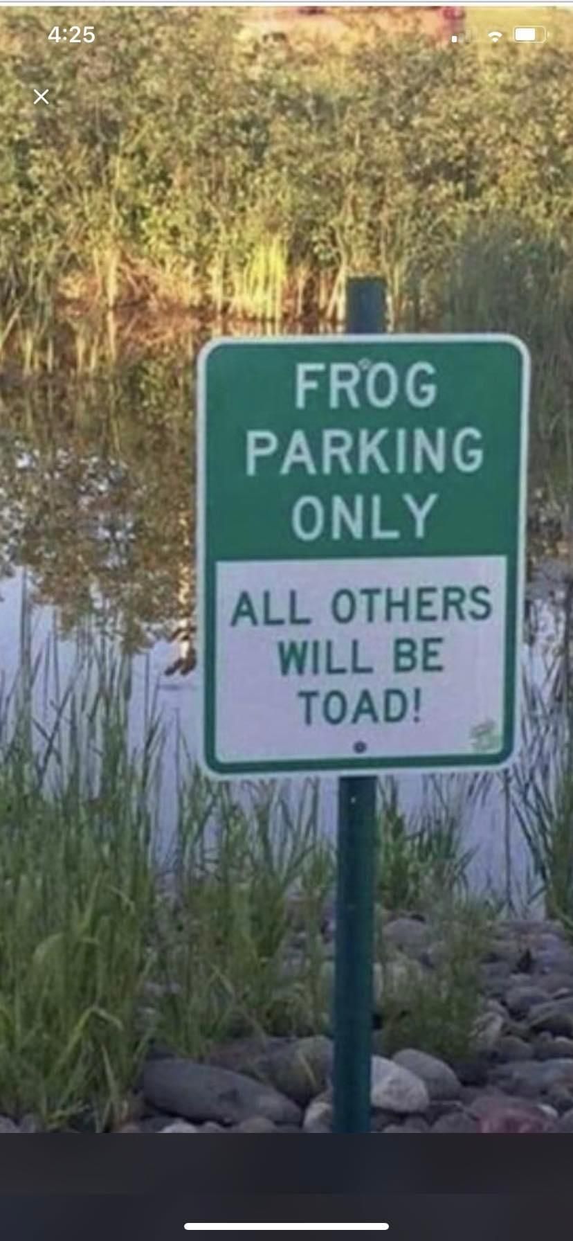 Amphibious parking rules
