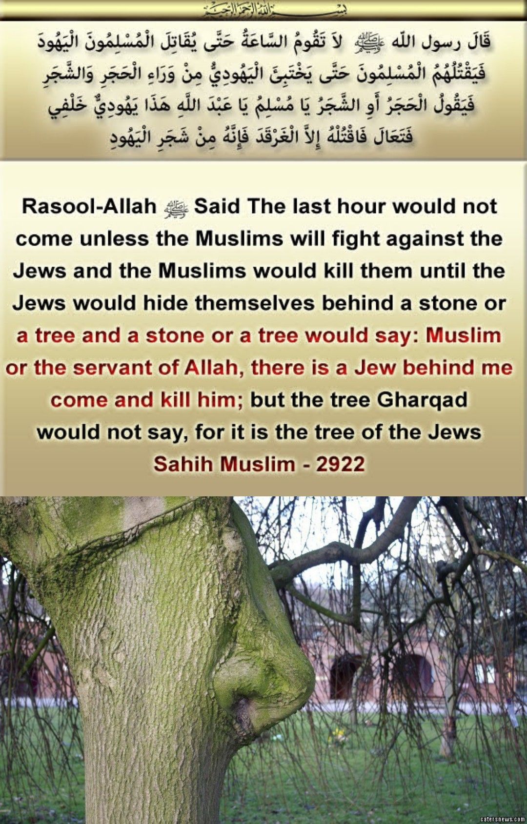 (((Tree)))