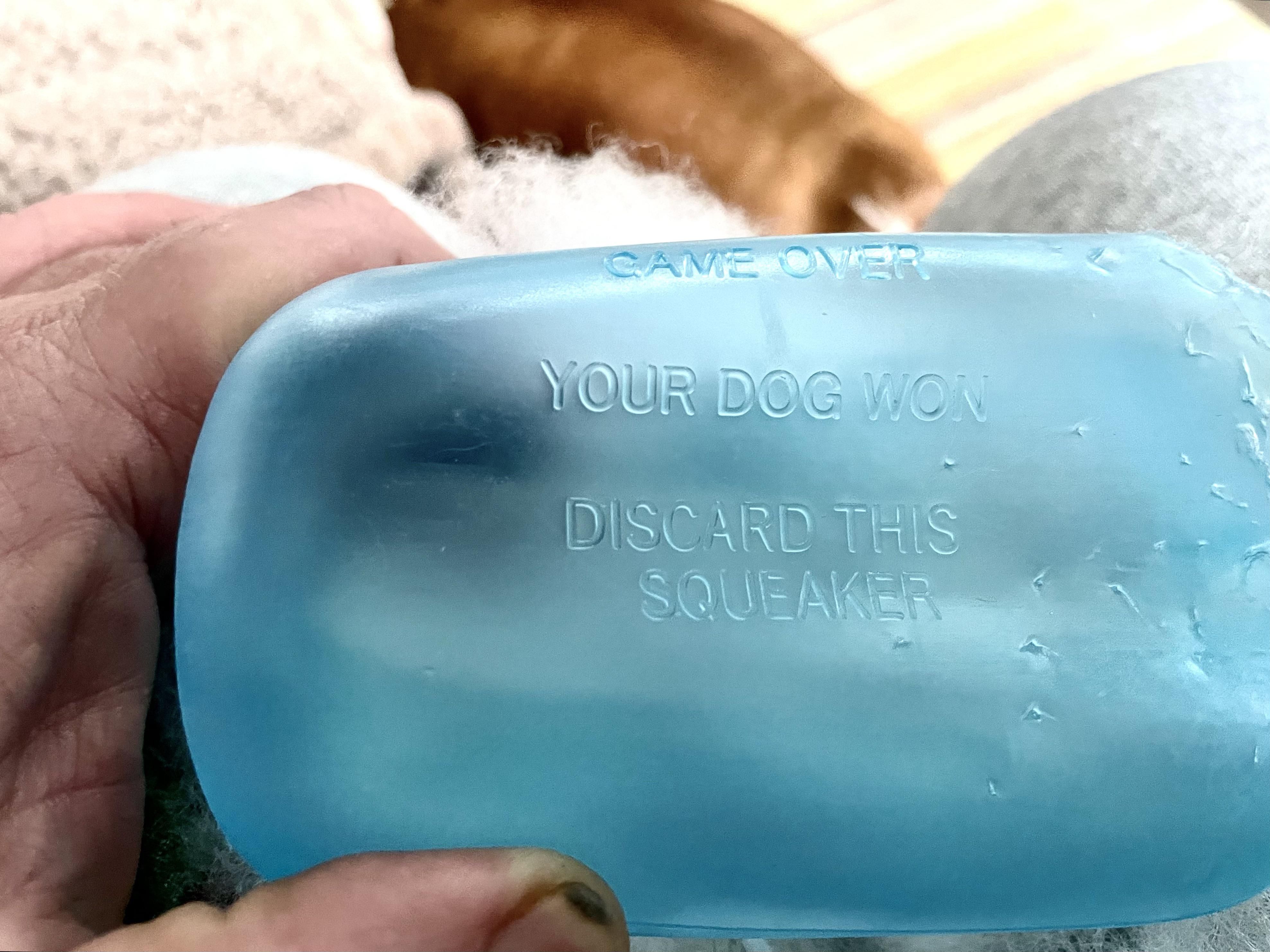 Found on the inside of a dog toy.