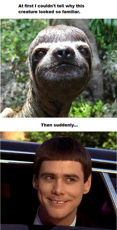 Like twins