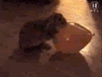 Worst sexkiller ever