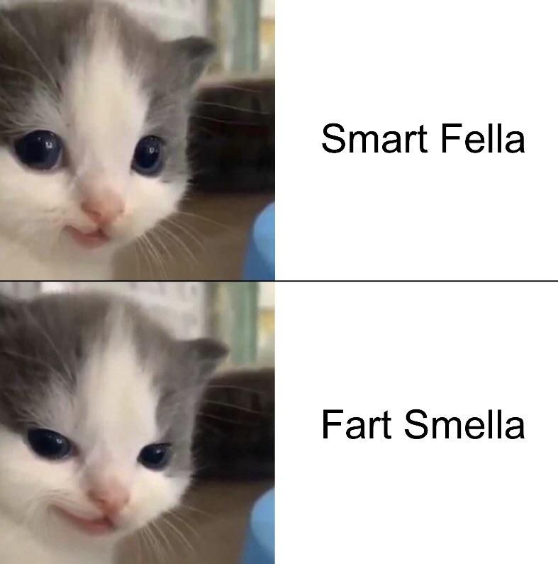 Better to be a smart fella than a fart smella