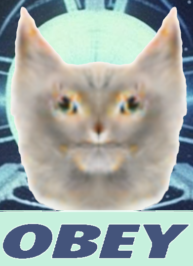 ***