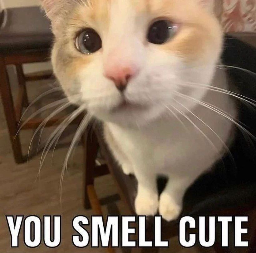 UWU