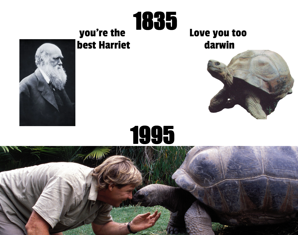Insane to think Charles Darwin and Steve Irwin both owned the same turtoise