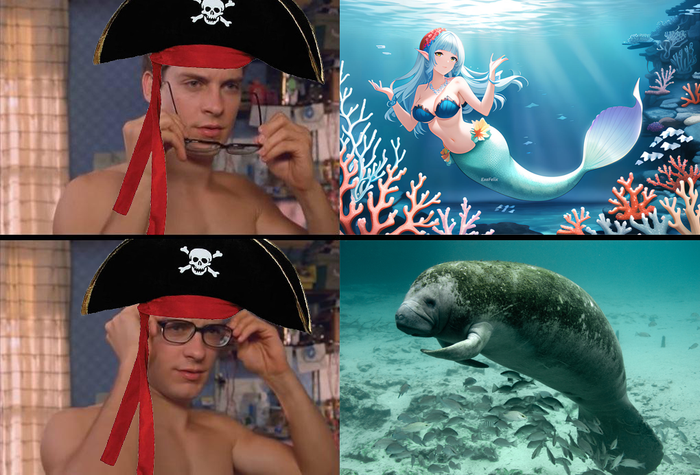Pirates just need glasses