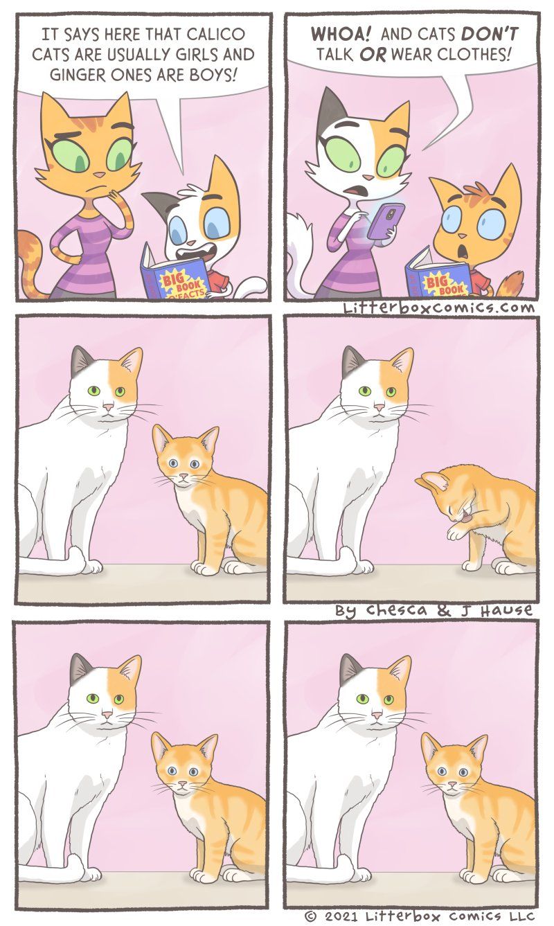 ***