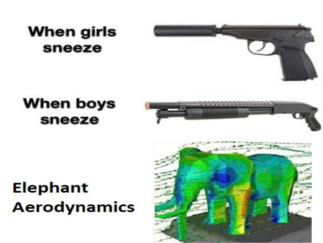 relatable! cause boys sneeze harder and elephants aerodynamics are as presented as well