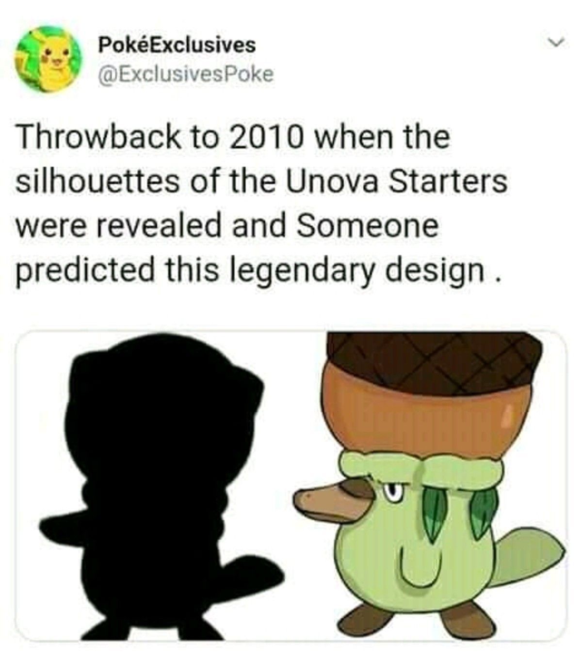 that acorn is dummy thicc