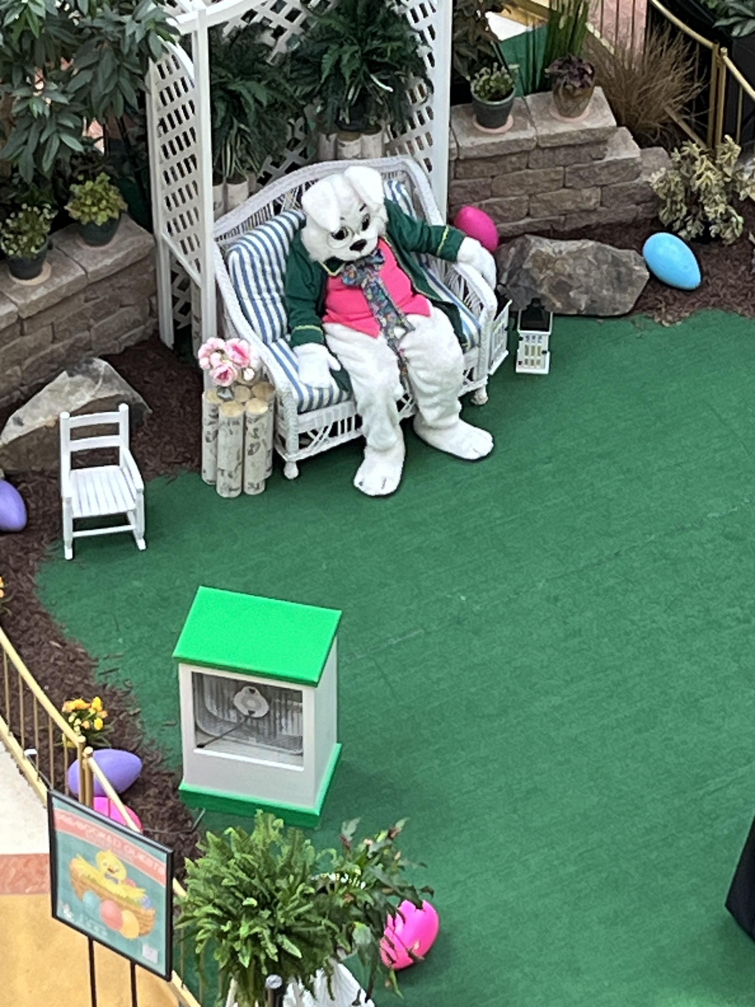 The Easter Bunny was at the mall today, appears unenthused.