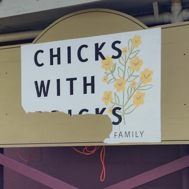 Chicks with