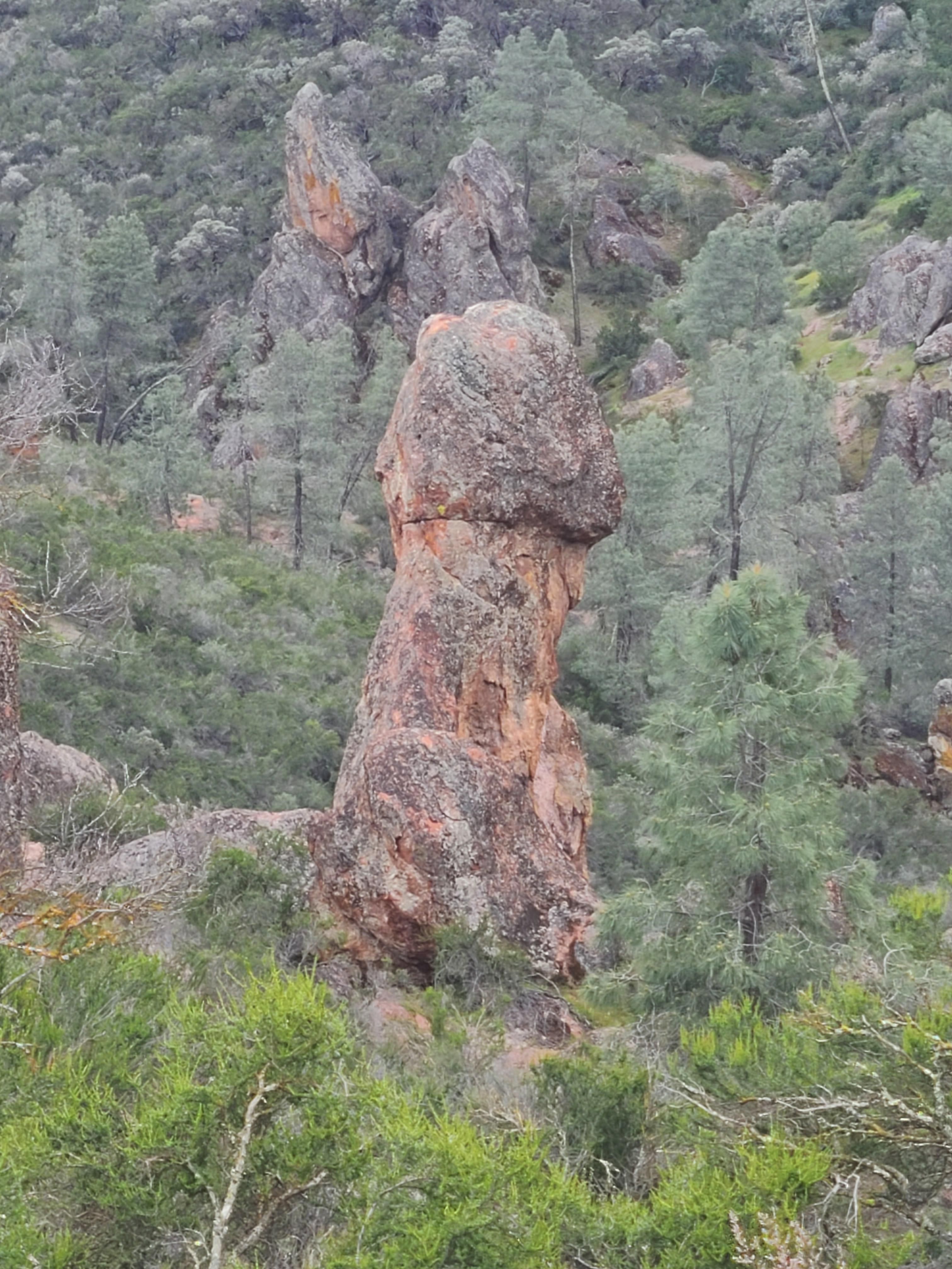 This rock formation in Pinnacles National Park, California has peculiar shape